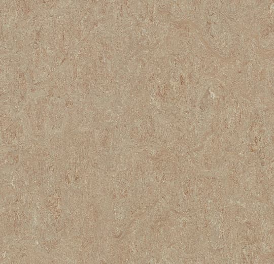 Forbo Marmoleum Weathered Sand Marmoleum on Waterproof HDF Core with Cork Backing Flooring — Cinch LOC SEAL (Square) Collection