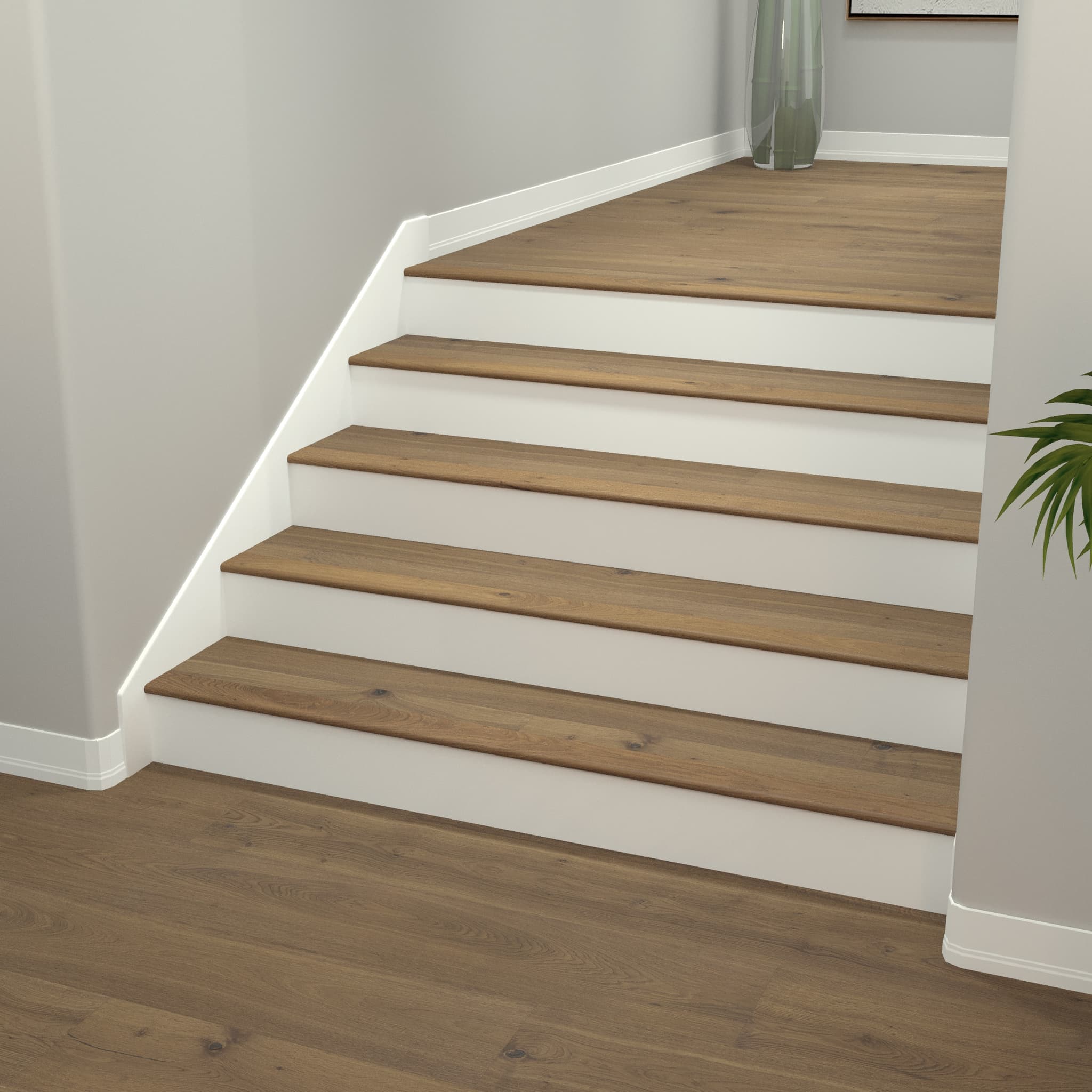 CALI Knotmeg Flooring Barrel First Press Collection - view 2