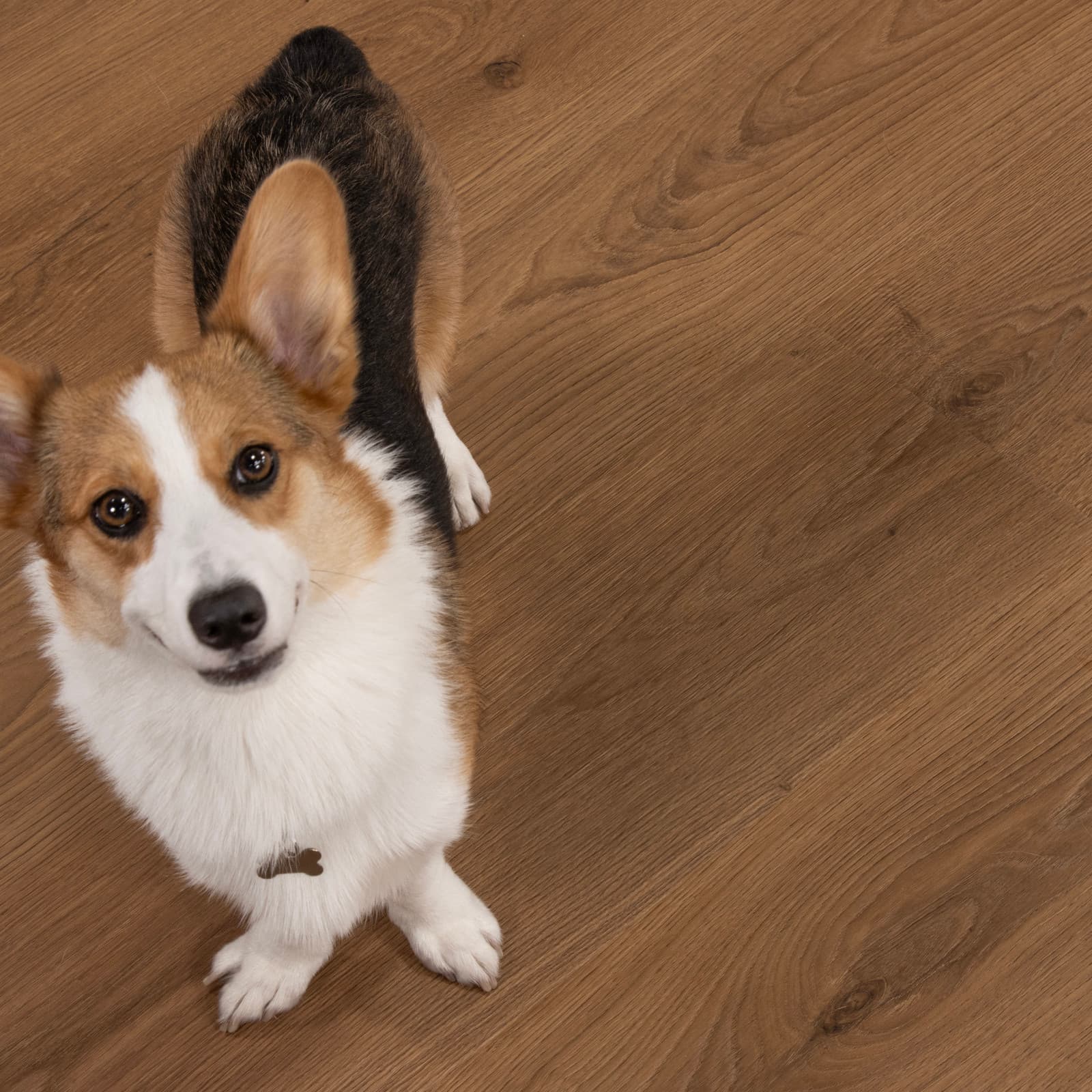 CALI Montara Oak Laminate Top Layer with High Density Wood Core Flooring Mavericks Collection - view 3