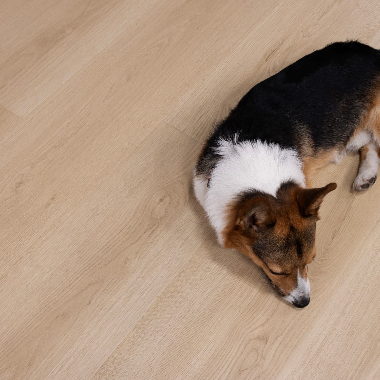 CALI Rockaway Oak Laminate Top Layer with High Density Wood Core Flooring — Santa Cruz Collection — installed in room