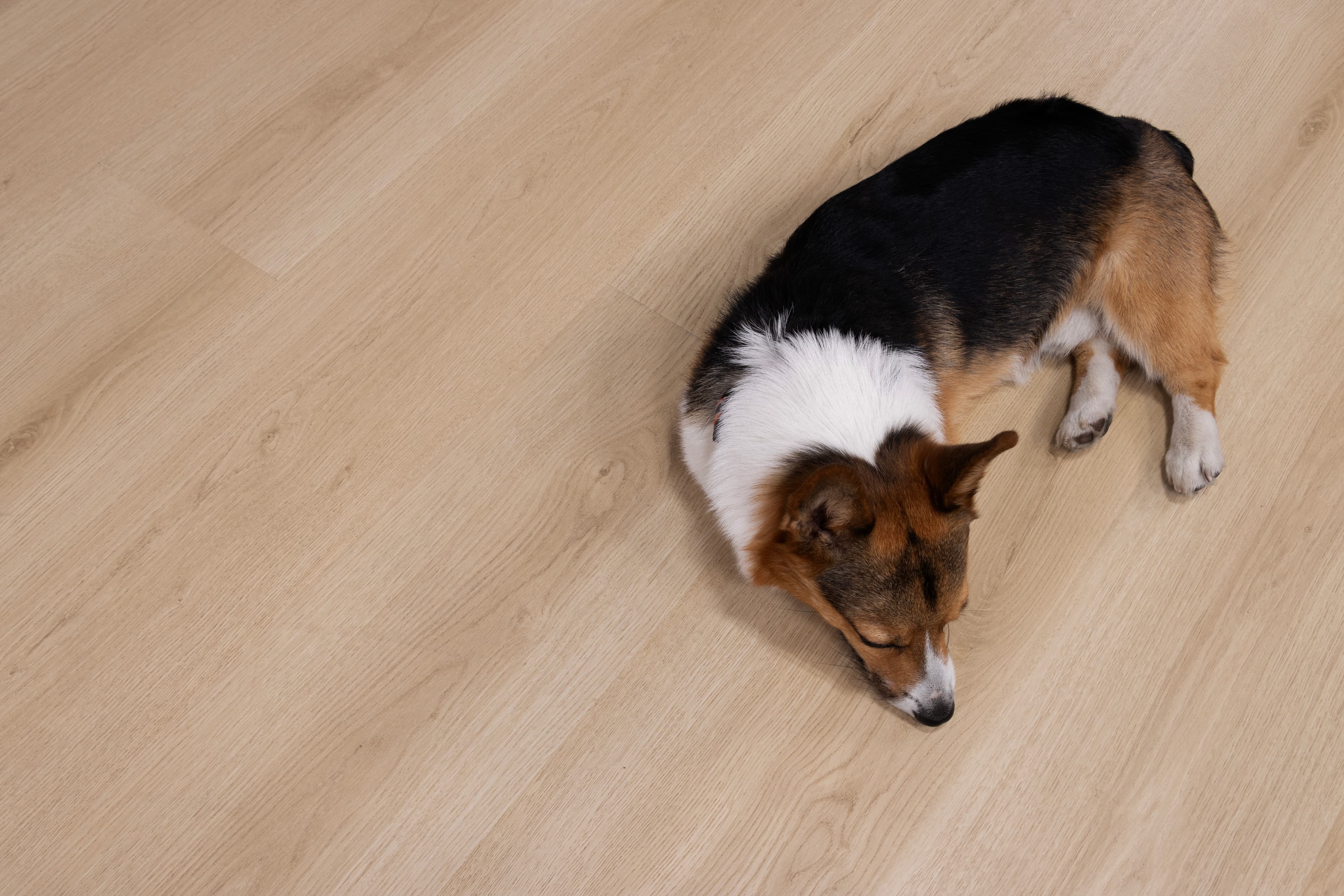 Rockaway Oak Santa Cruz Laminate Plank Flooring - Image 2