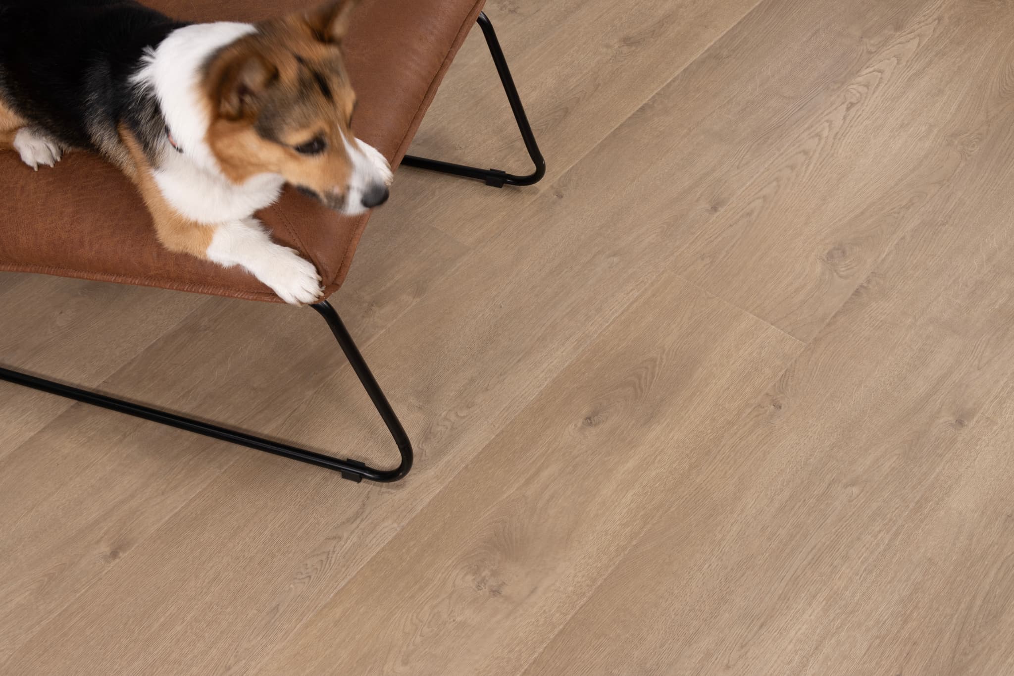 CALI Del Mar Drift Laminate Top Layer with High Density Wood Core Flooring Santa Cruz Collection - view 3