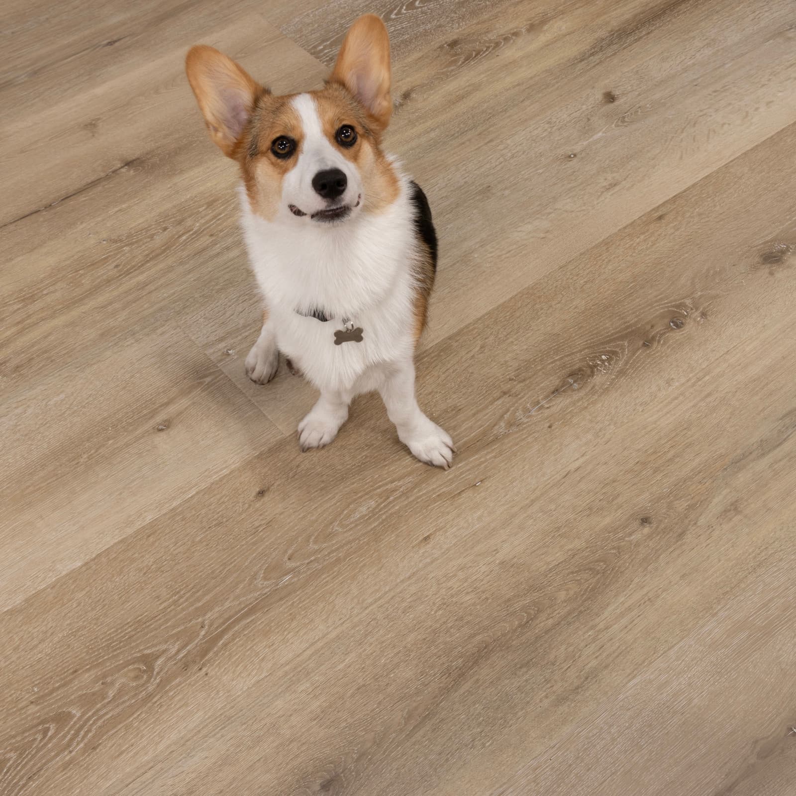CALI Aged Hickory Laminate Top Layer with High Density Wood Core Flooring — Santa Cruz Collection — detail view 3