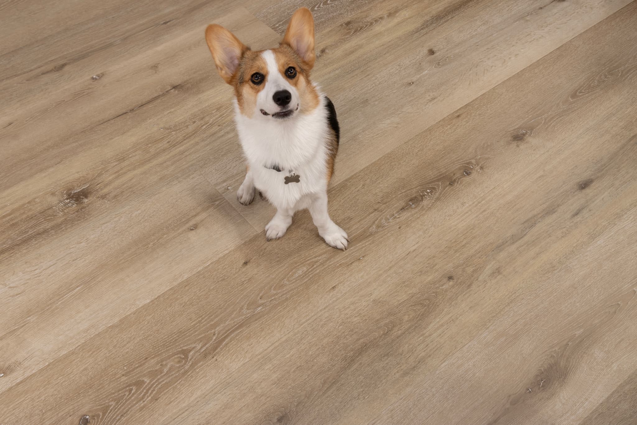 CALI Aged Hickory Laminate Top Layer with High Density Wood Core Flooring Santa Cruz Collection - view 3
