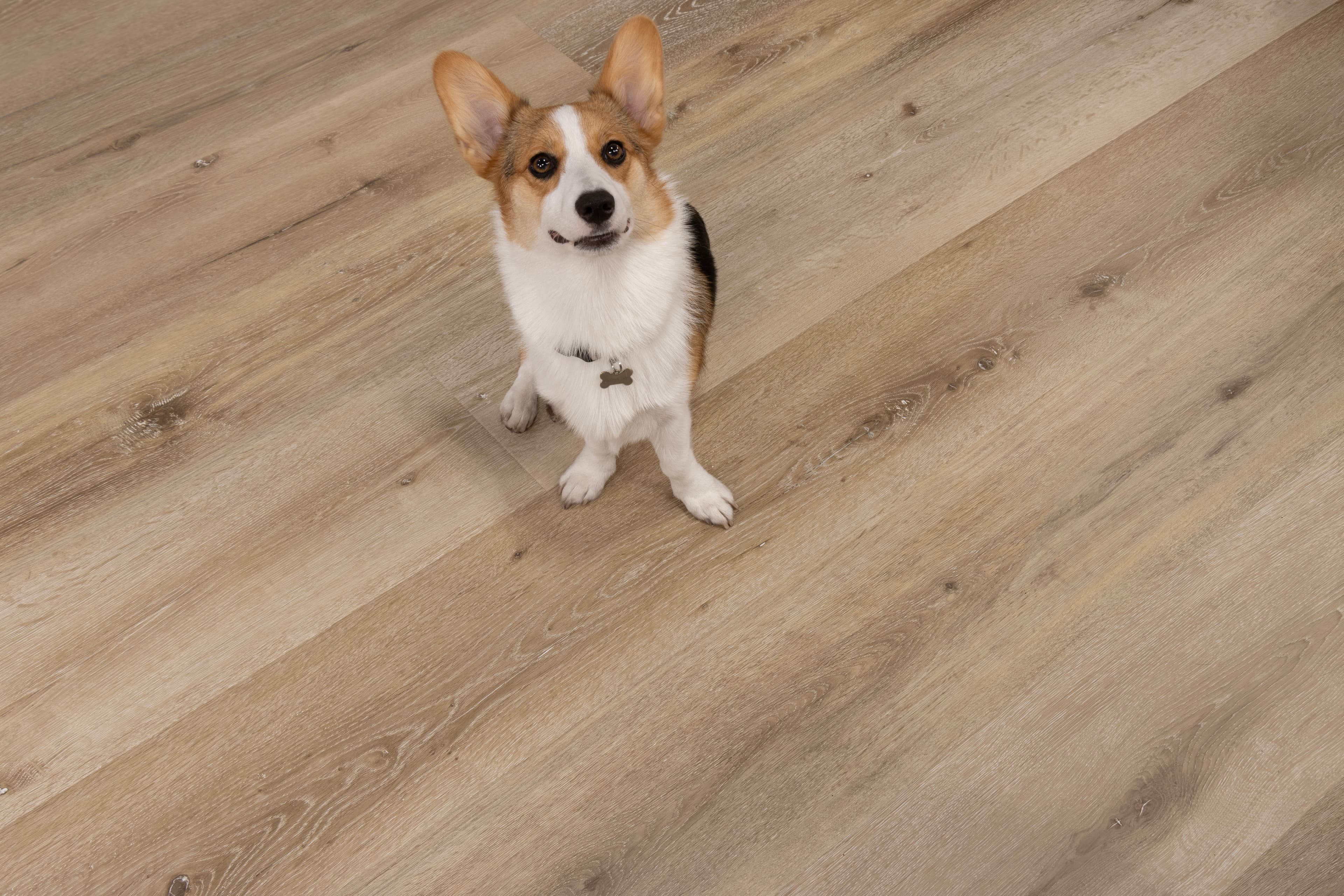 Aged Hickory Santa Cruz Laminate Plank Flooring - Image 3