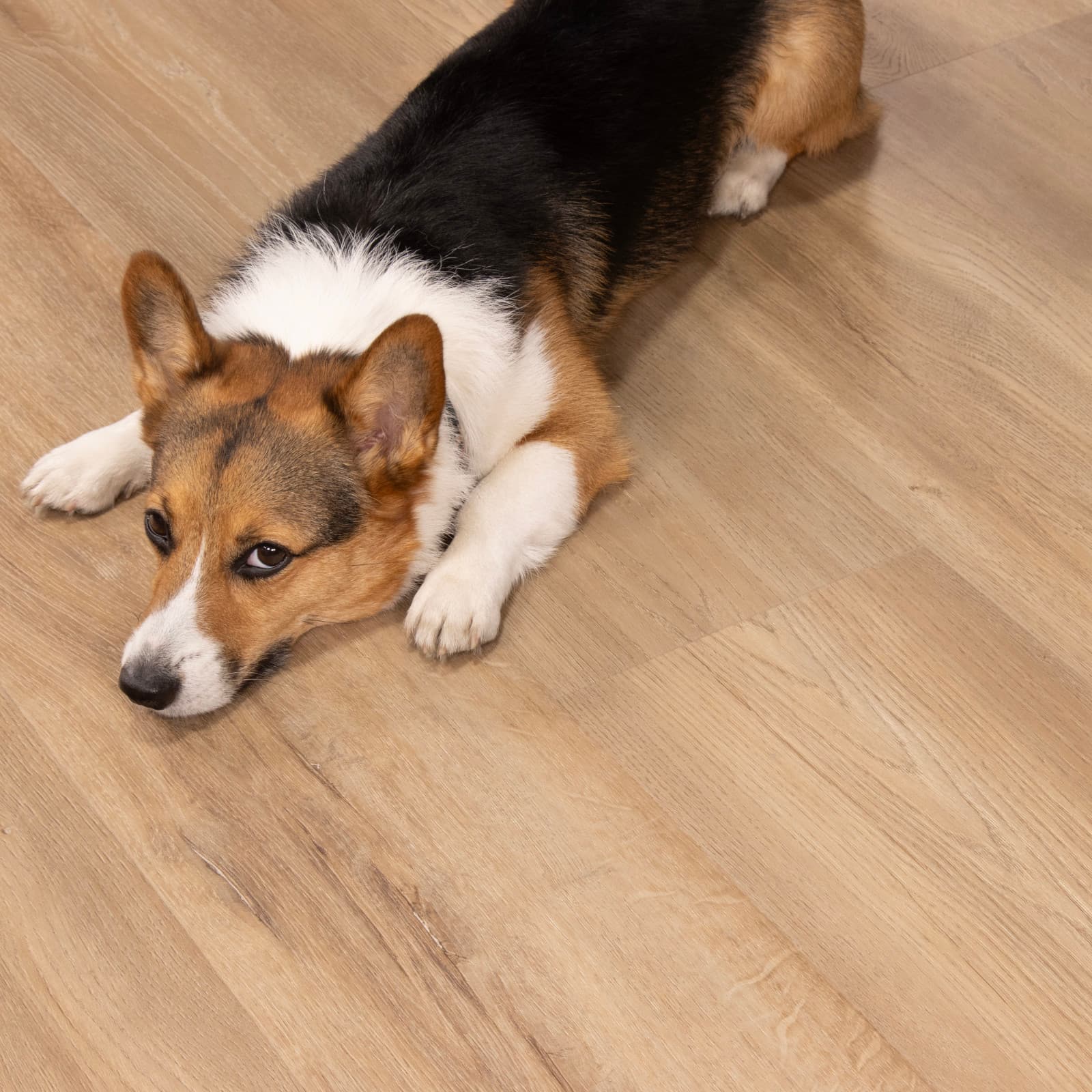 CALI Aerial Oak Flooring Longboards Icons Collection - view 3