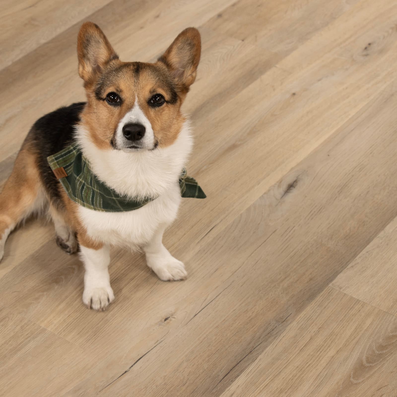 CALI Malibu Swell WPC Flooring Longboards Icons Collection - view 3