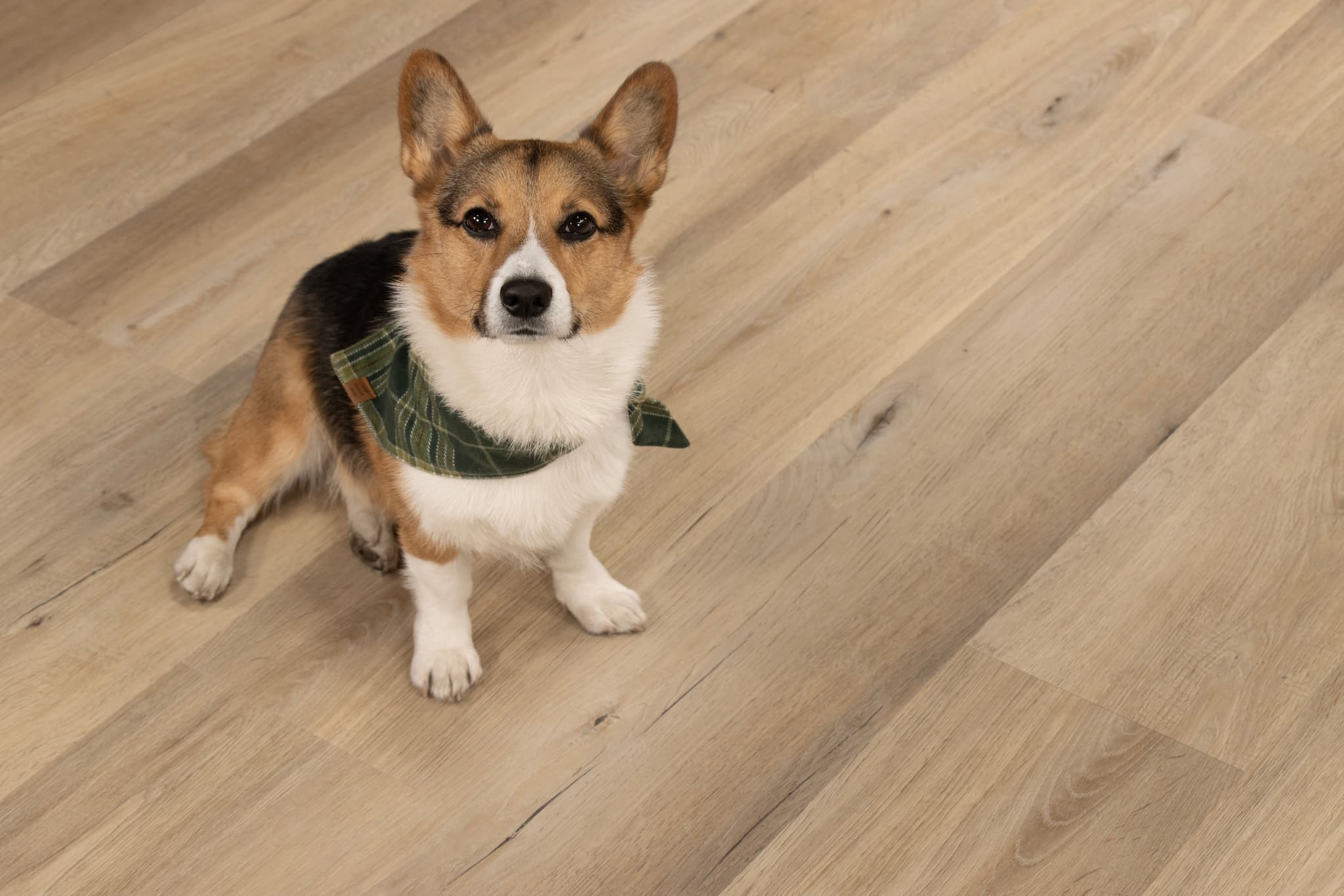 CALI Malibu Swell WPC Flooring Longboards Icons Collection - view 3