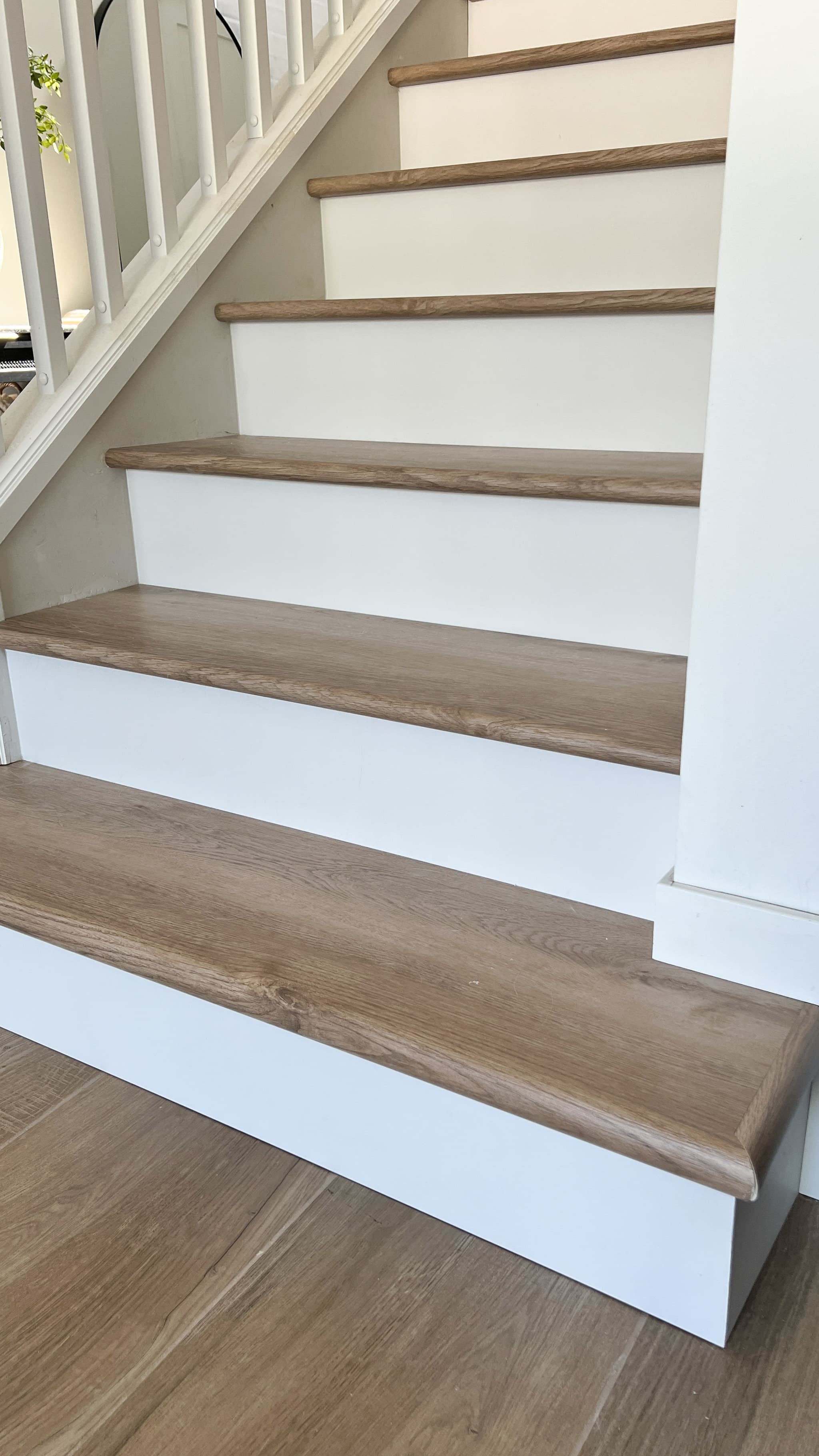 CALI Oyster Isle Flooring Legends Collection - view 4