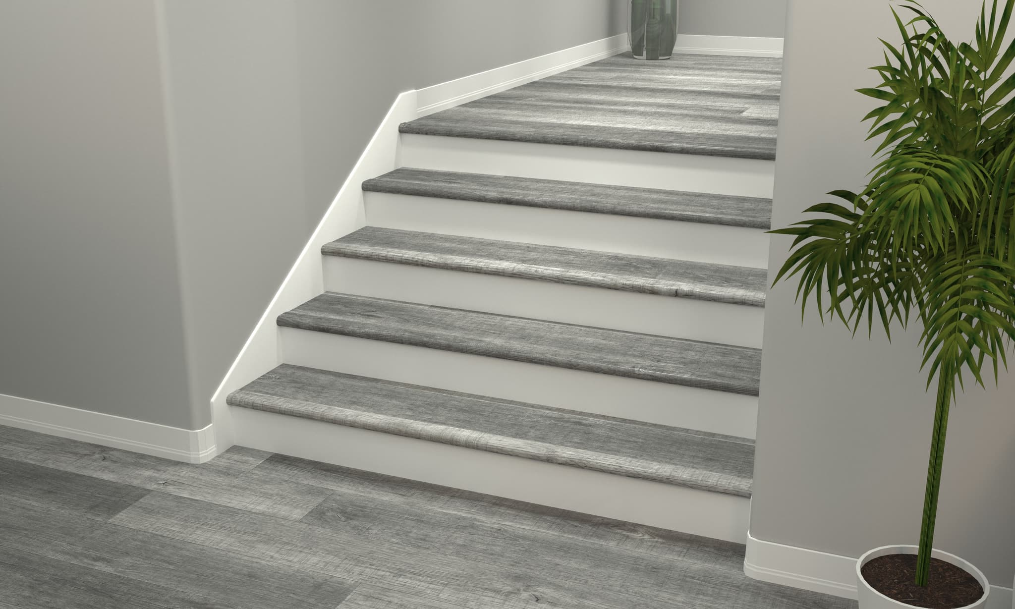 CALI Alderwood Flooring Select Premium Collection - view 2