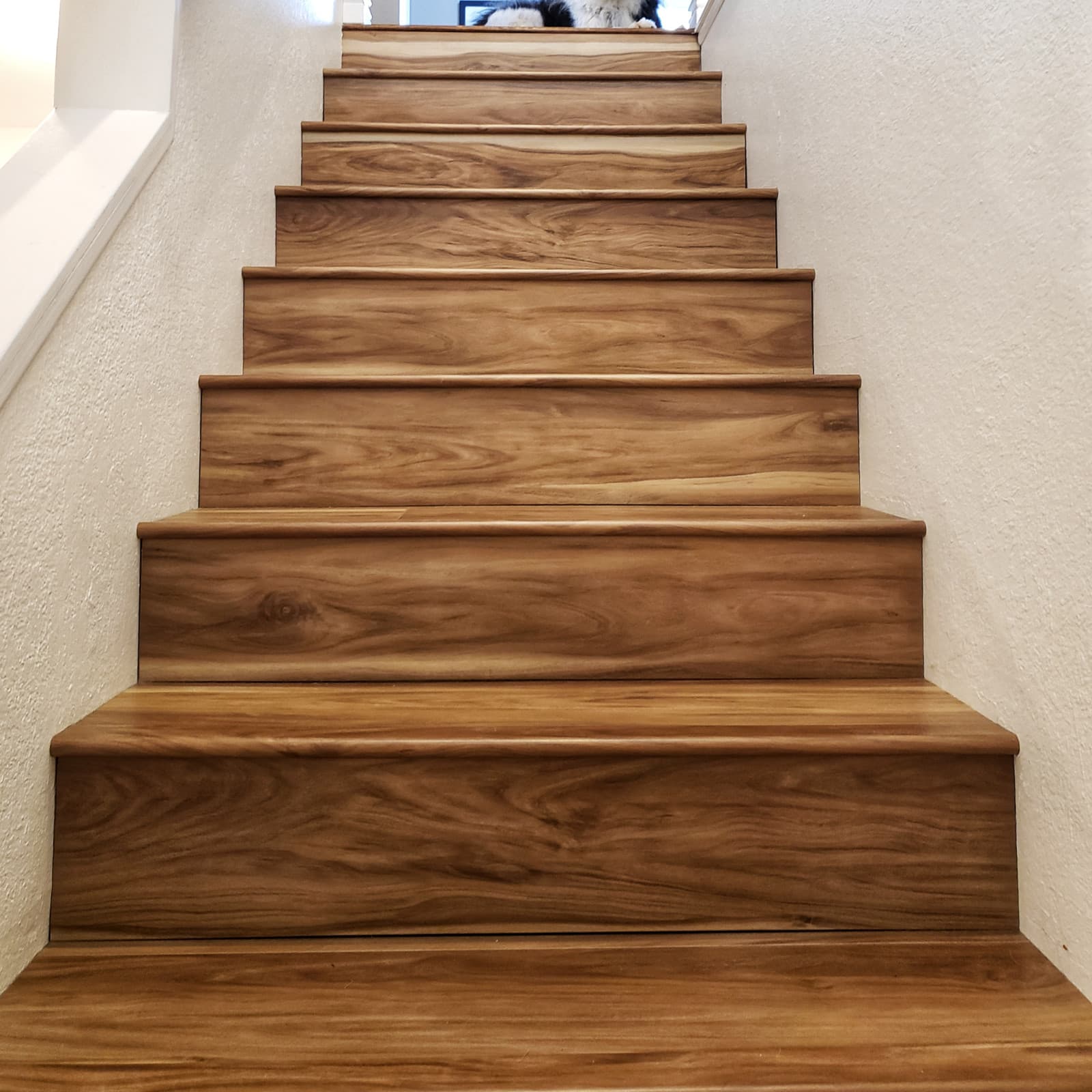 CALI Coastal Eucalyptus Flooring — Windansea Low Tide Collection — detail view 3