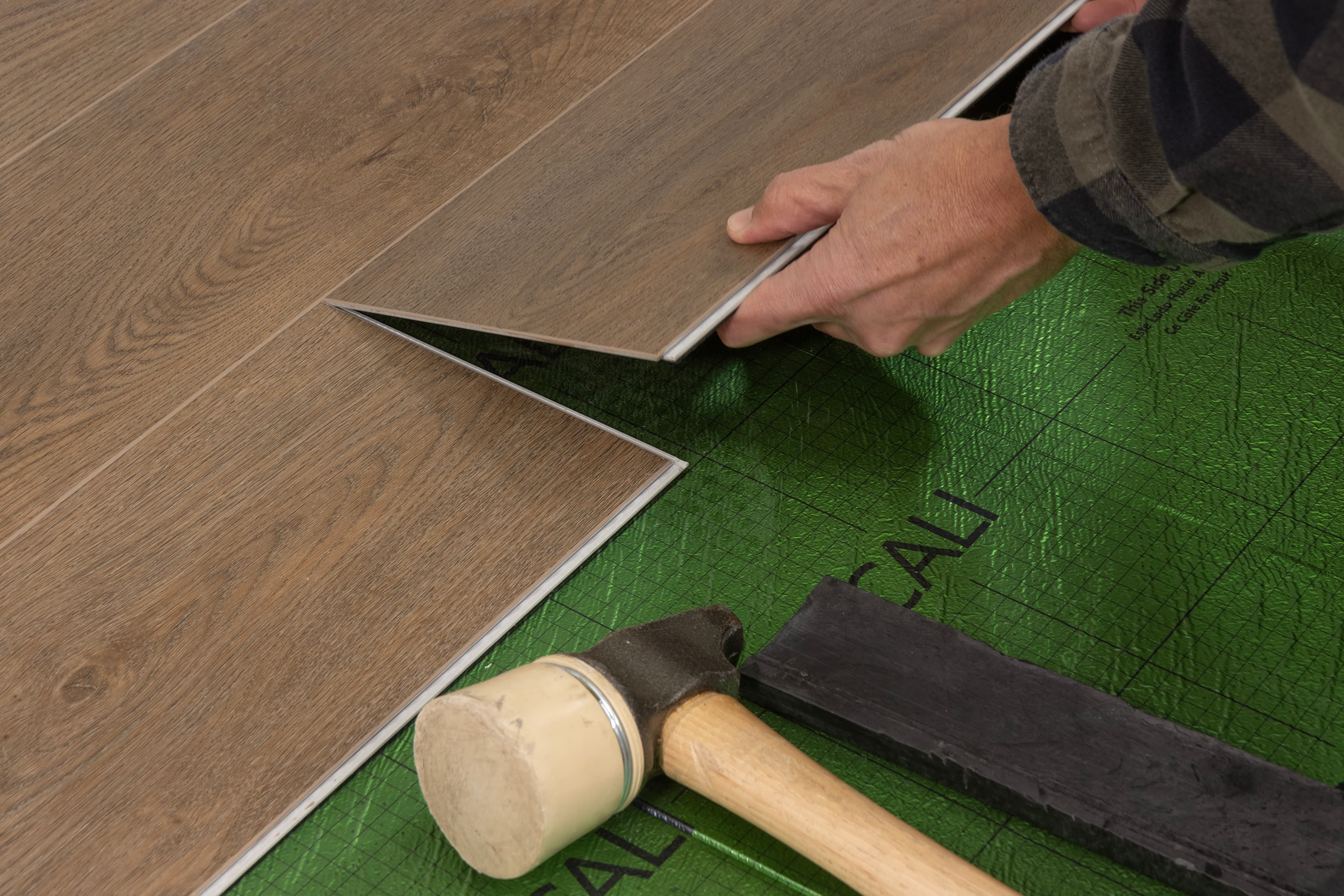 Sea Scallop CALI Vinyl Windansea Low Tide - Image 4