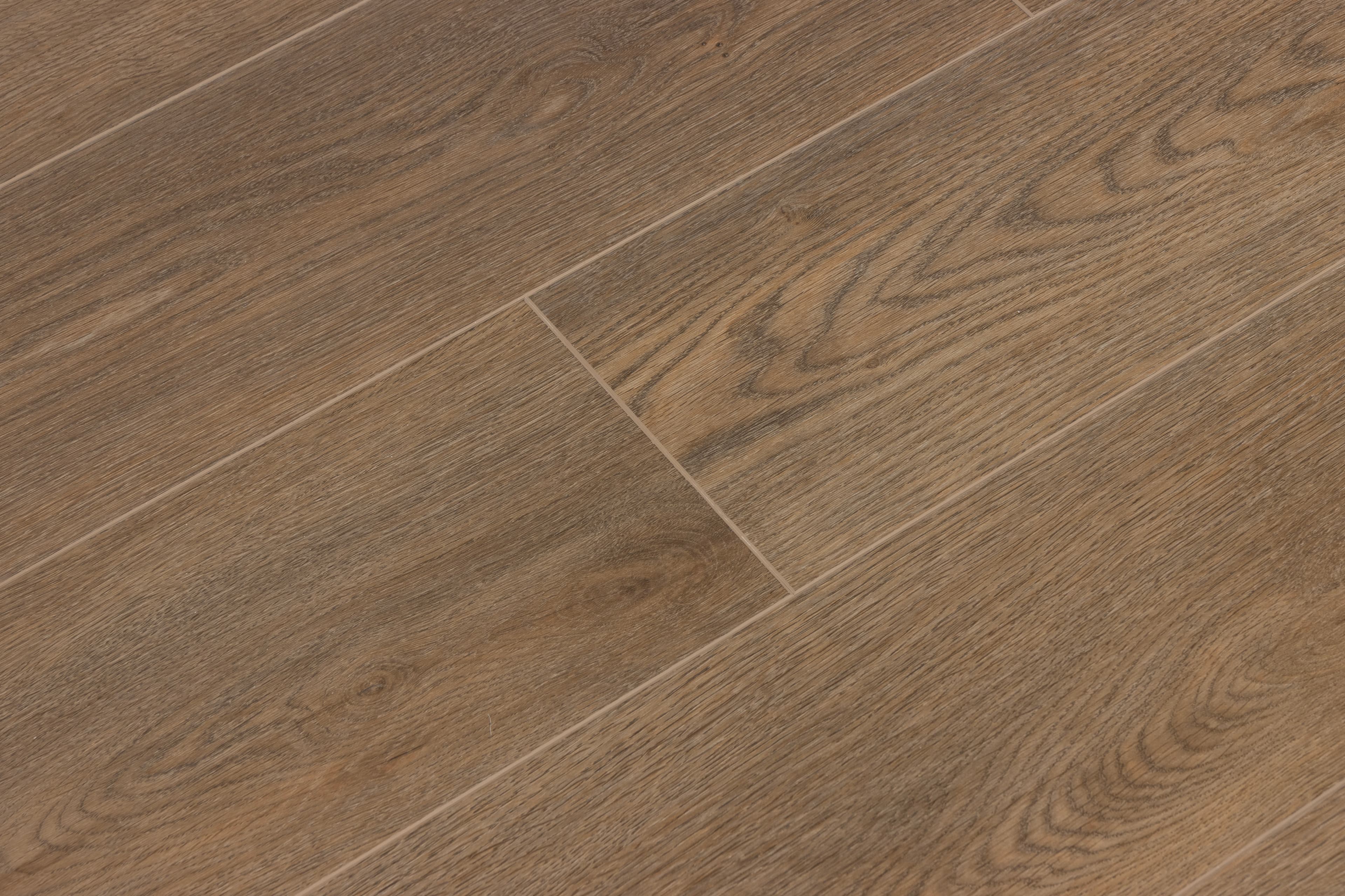 Sea Scallop CALI Vinyl Windansea Low Tide - Image 5