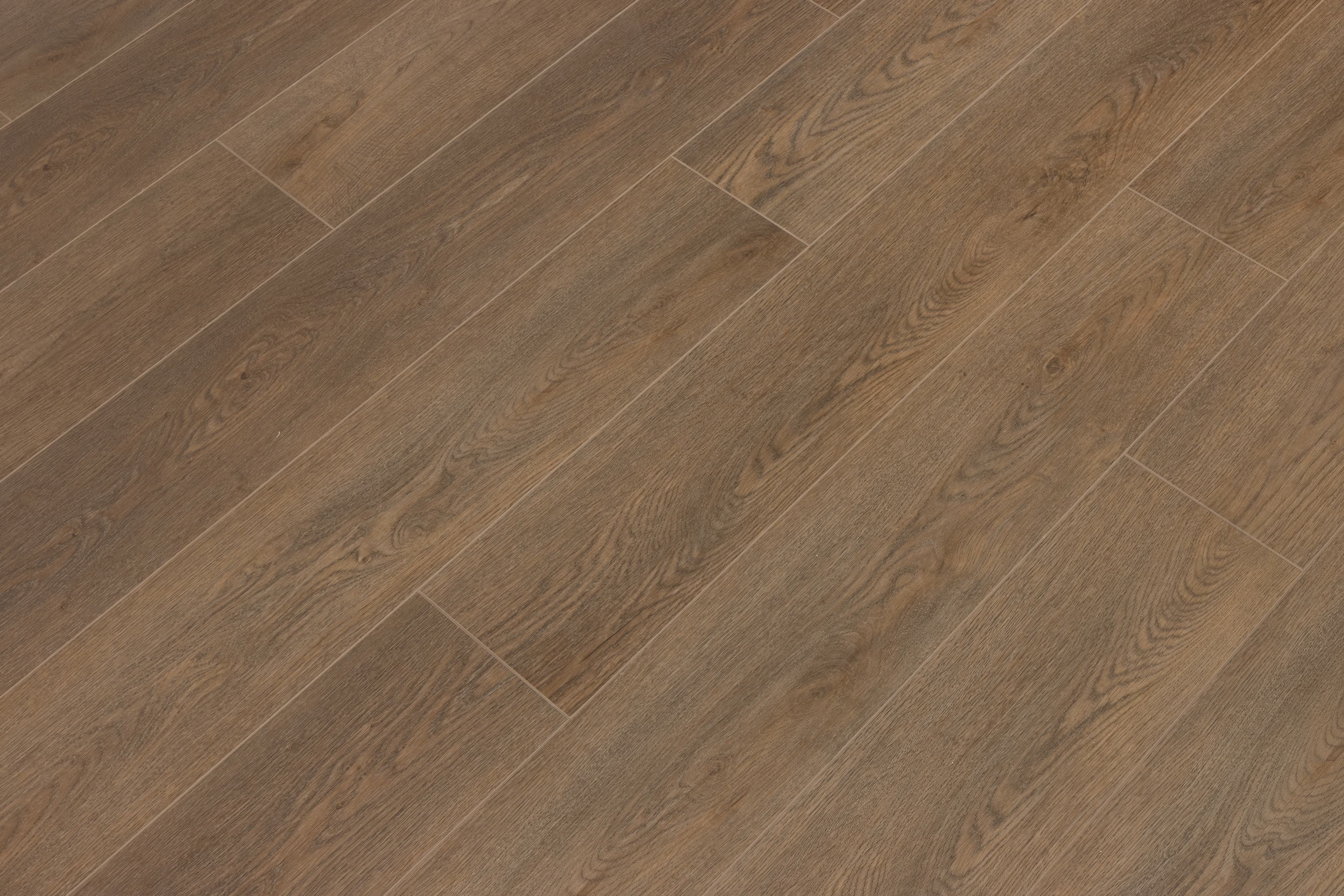 Sea Scallop CALI Vinyl Windansea Low Tide - Image 6