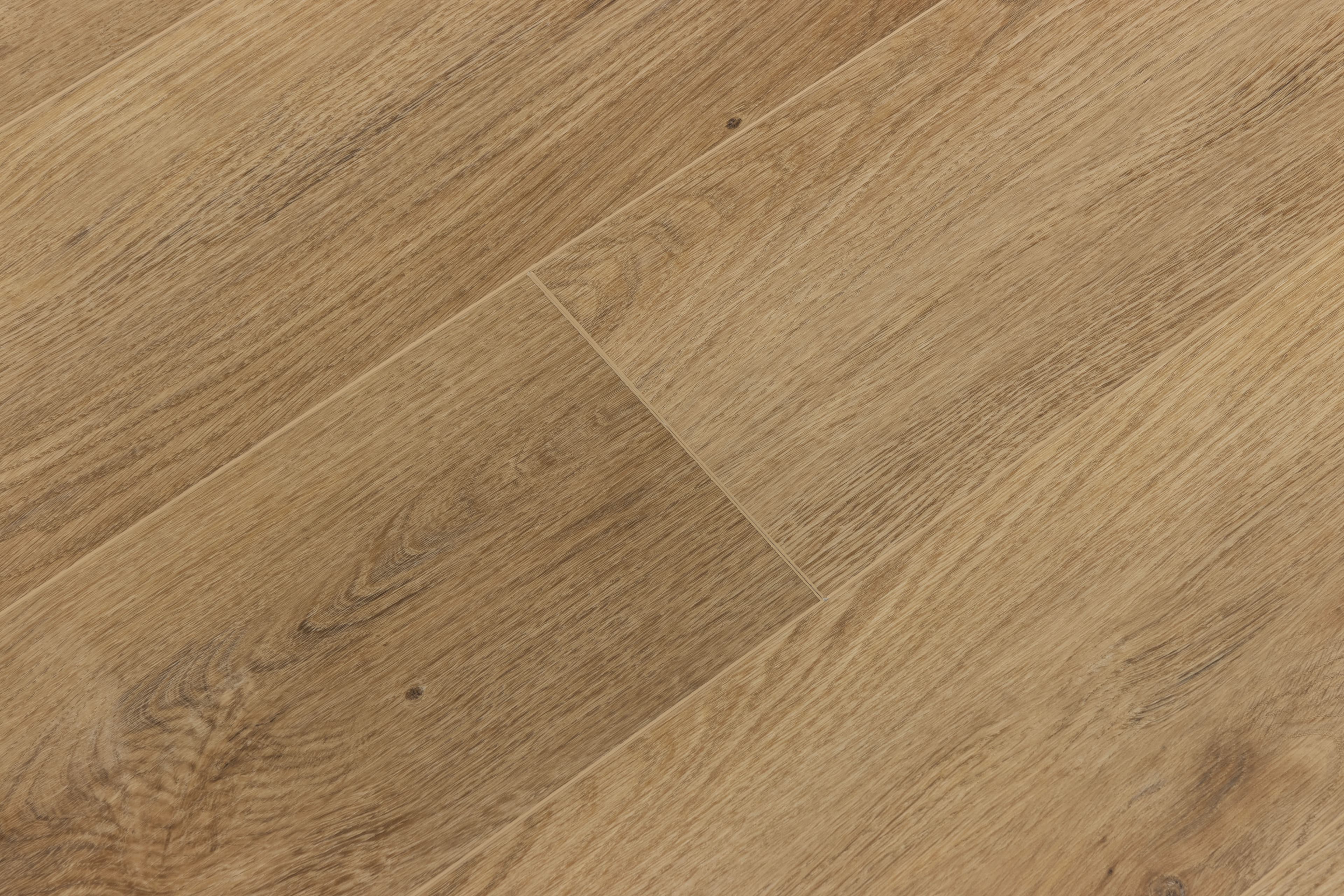 Outer Reef CALI Vinyl Windansea Low Tide - Image 6