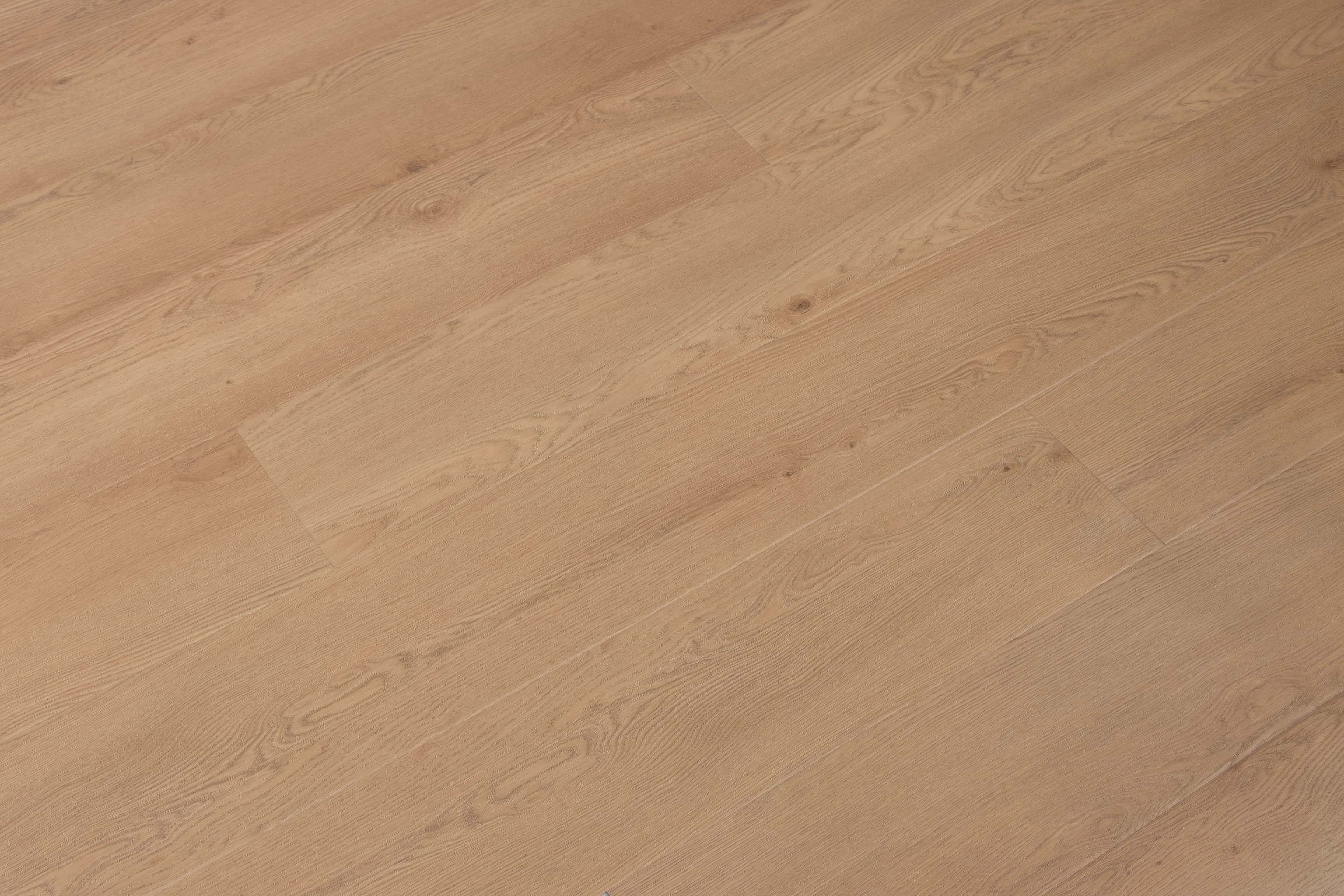 Belmont Bluffs CALI Vinyl Windansea High Tide - Image 7