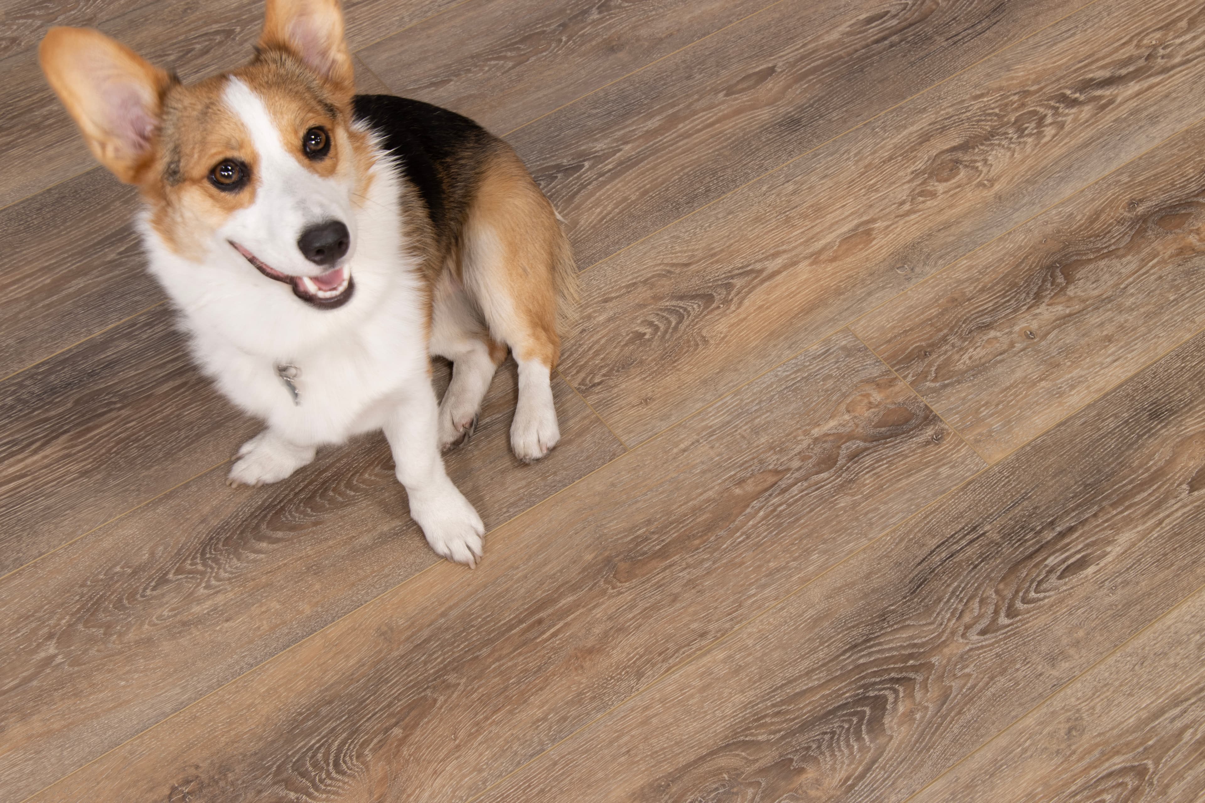 Dockwood Trestles Vinyl Plank Flooring - Image 3