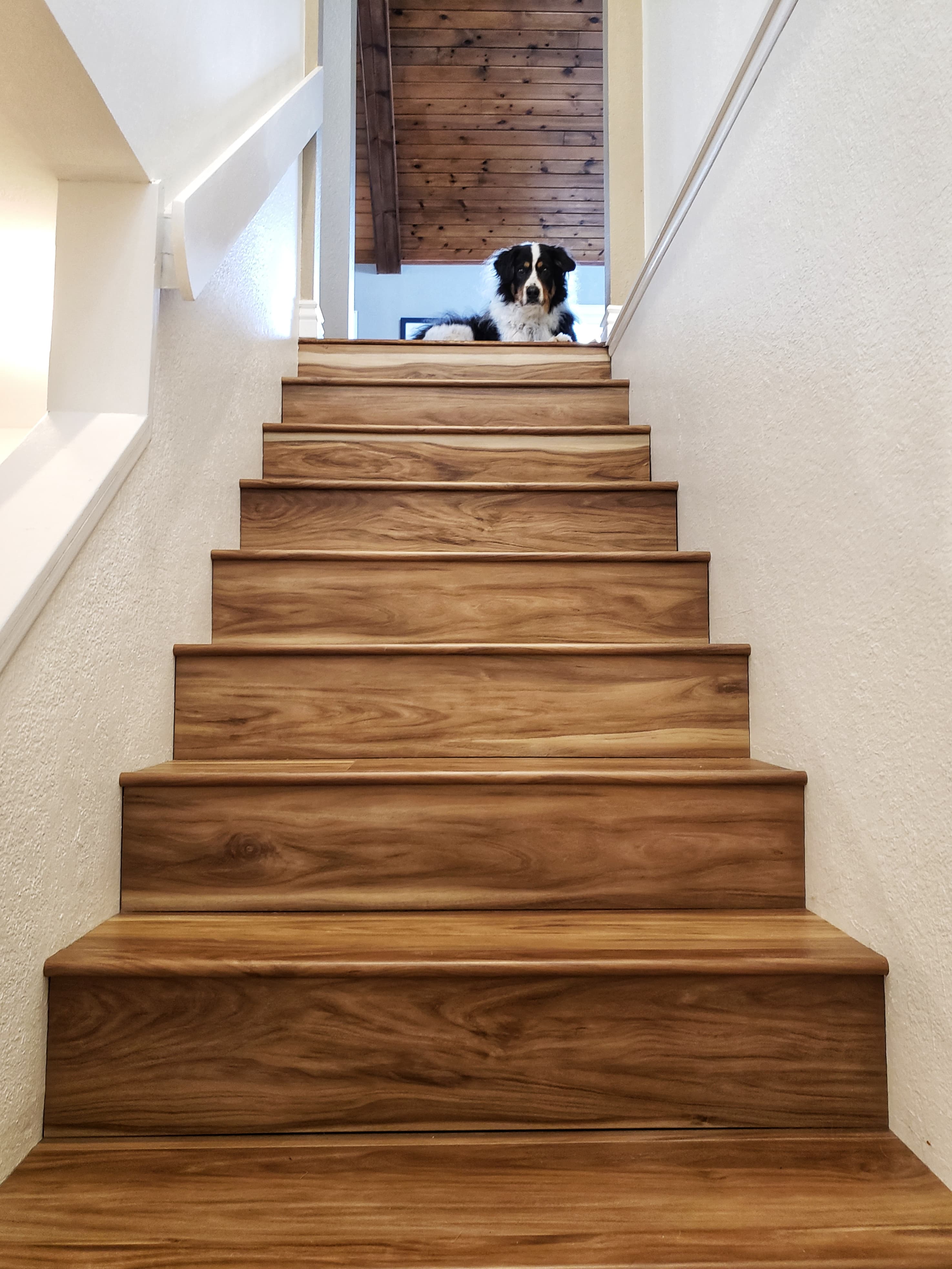 Coastal Eucalyptus CALI Vinyl Stair Nosing Flush - Image 3