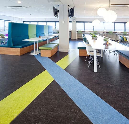 Forbo Marmoleum Dark Bistre Marmoleum on Waterproof HDF Core with Cork Backing Flooring — Cinch LOC SEAL (Plank) Collection