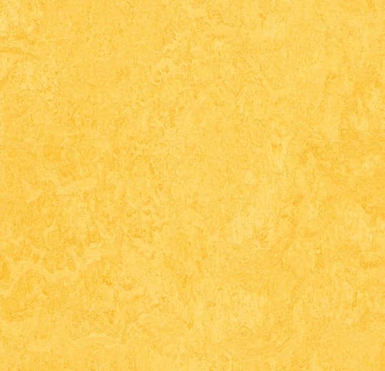 Forbo Marmoleum Lemon Zest Marmoleum on Waterproof HDF Core with Cork Backing Flooring — Cinch LOC SEAL (Plank) — plank close-up