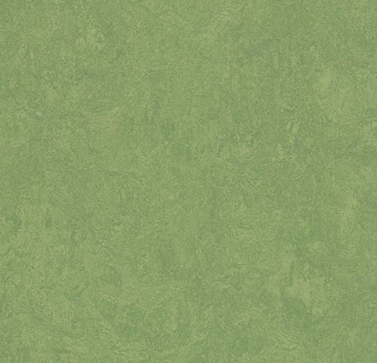 Forbo Marmoleum Leaf Marmoleum on Waterproof HDF Core with Cork Backing Flooring — Cinch LOC SEAL (Plank) — plank close-up