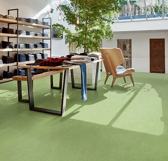 Forbo Marmoleum Leaf Marmoleum on Waterproof HDF Core with Cork Backing Flooring — Cinch LOC SEAL (Plank) — installed in room