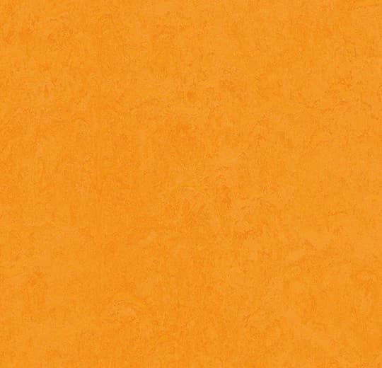 Forbo Marmoleum Marigold Marmoleum on Waterproof HDF Core with Cork Backing Flooring — Cinch LOC SEAL (Plank) Collection