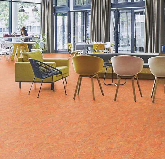 Forbo Marmoleum Asian Tiger Marmoleum on Waterproof HDF Core with Cork Backing Flooring — Cinch LOC SEAL (Plank) — installed in room