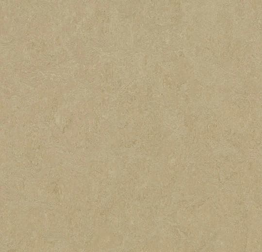 Forbo Marmoleum Oat Marmoleum on Waterproof HDF Core with Cork Backing Flooring — Cinch LOC SEAL (Plank) Collection