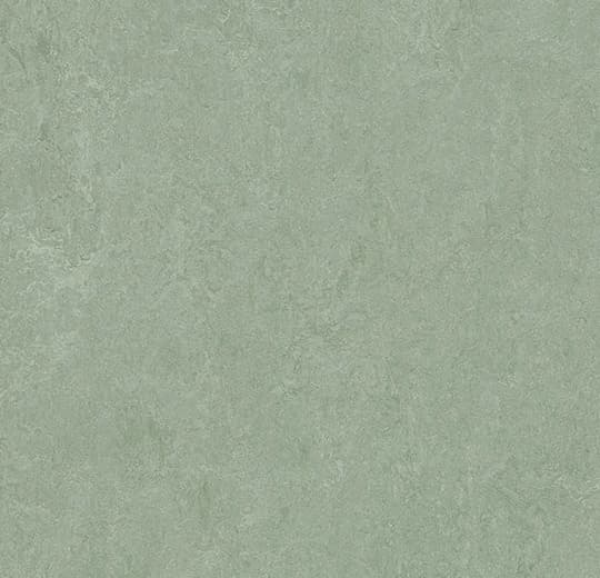 Forbo Marmoleum Sage Marmoleum on Waterproof HDF Core with Cork Backing Flooring — Cinch LOC SEAL (Plank) — plank close-up
