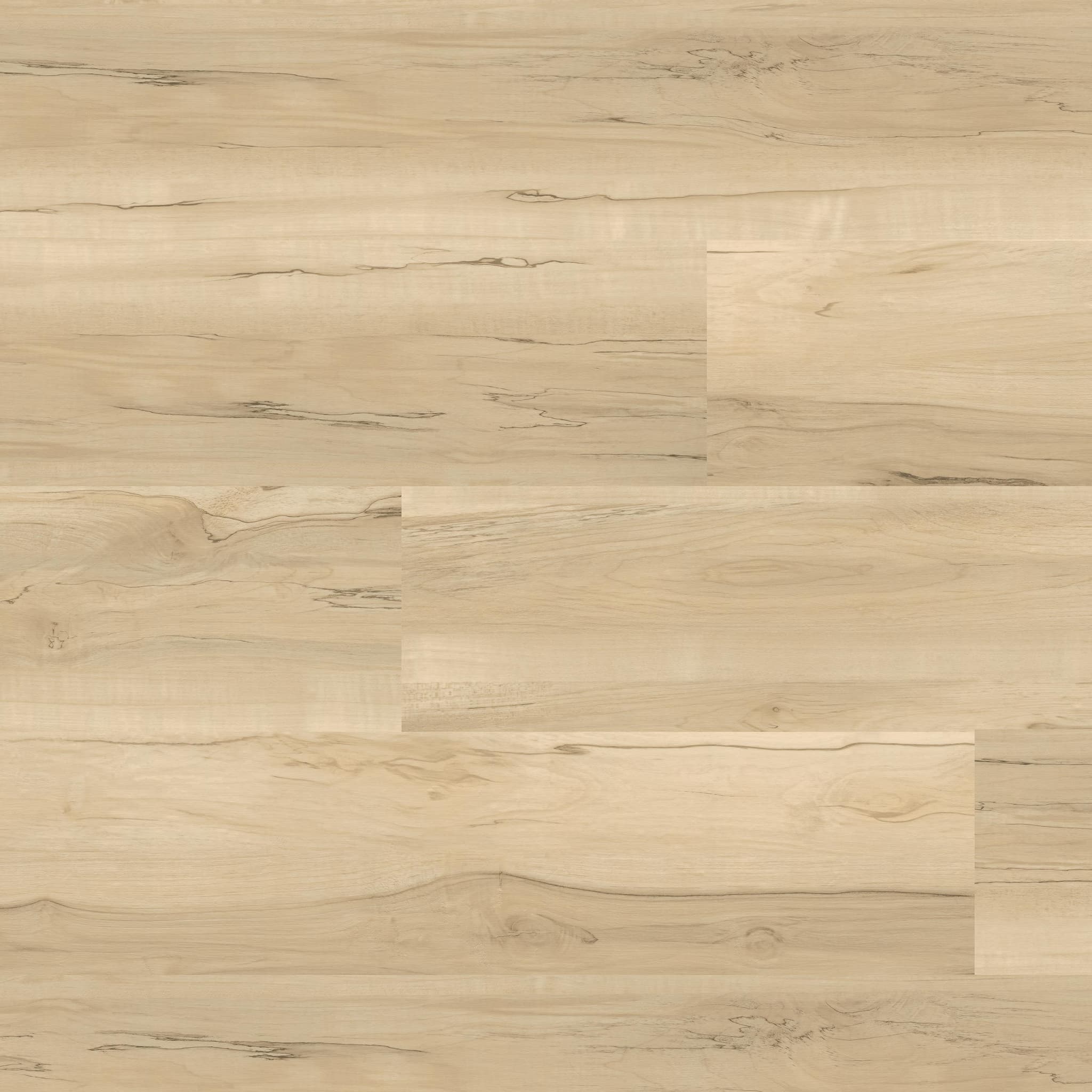 MSI Everlife Akadia Glue Down Luxury Vinyl Flooring — Nove Plus Collection