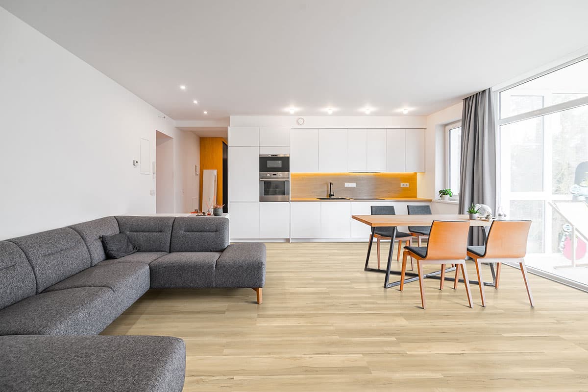 MSI Everlife Akadia Glue Down Luxury Vinyl Flooring — Nove Plus Collection