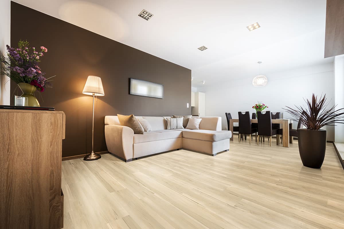 MSI Everlife Akadia Glue Down Luxury Vinyl Flooring — Nove Plus Collection — detail view 3