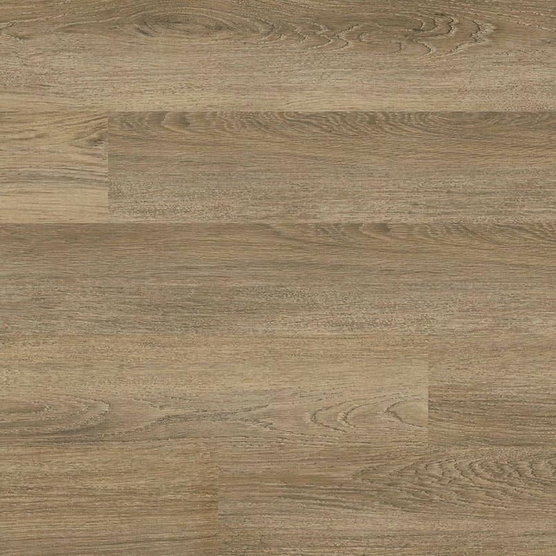MSI Everlife Ayla Glue Down Luxury Vinyl Flooring — Acclima Collection — plank close-up