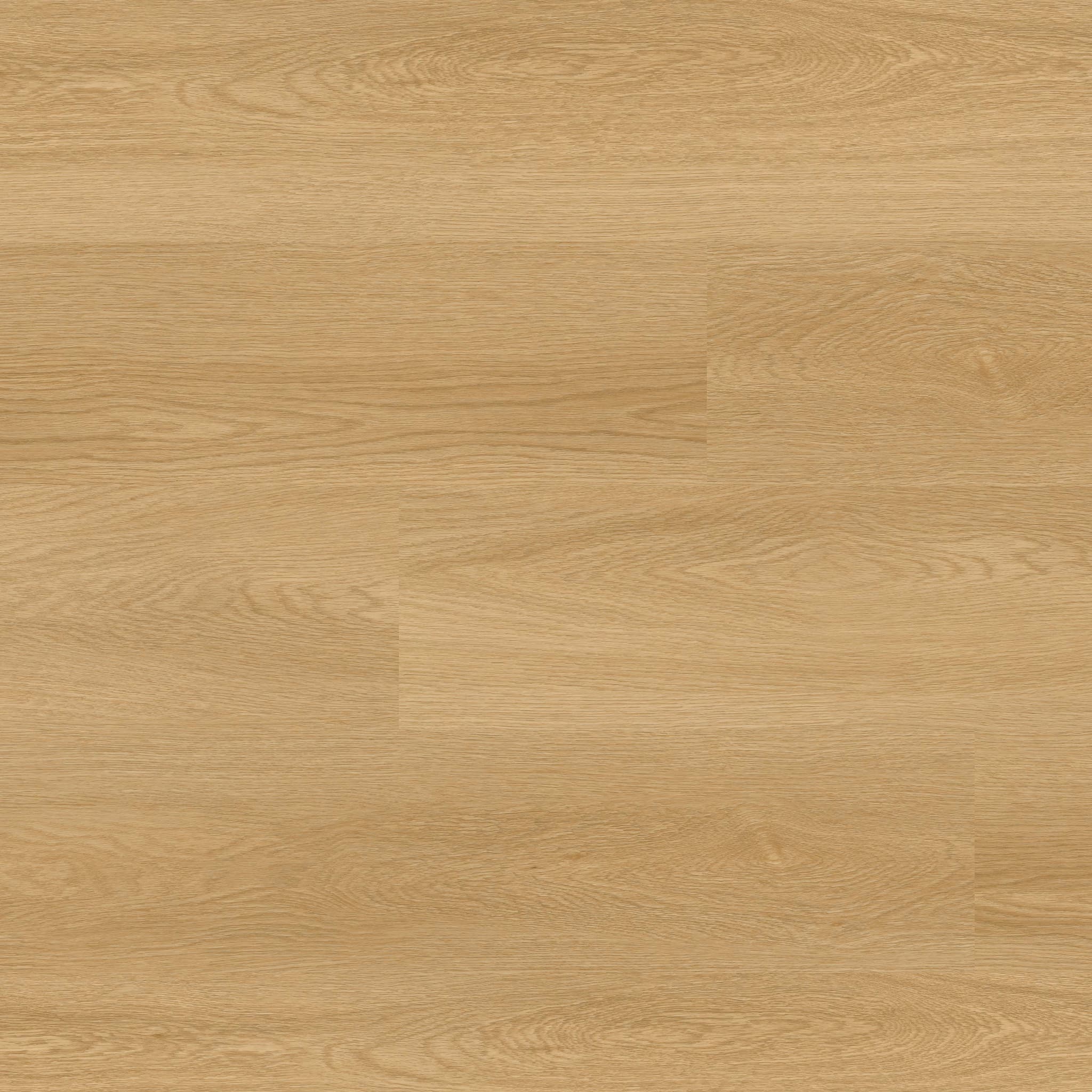 MSI Everlife Bayside Buff Glue Down Luxury Vinyl Flooring — Nove Reserve Collection — detail view 10