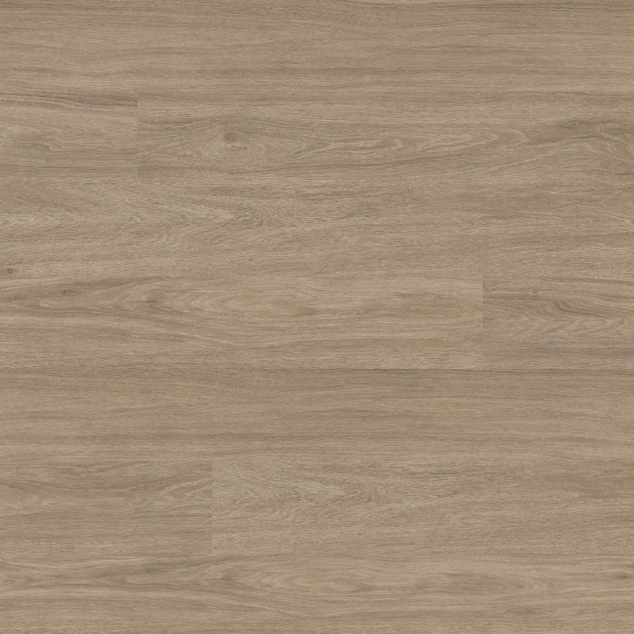 MSI Everlife Bleached Elm Glue Down Luxury Vinyl Flooring — Wilmont Collection