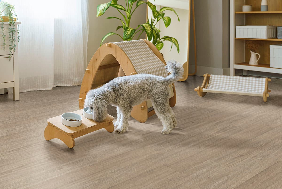 MSI Everlife Bleached Elm Glue Down Luxury Vinyl Flooring — Wilmont Collection — detail view 3