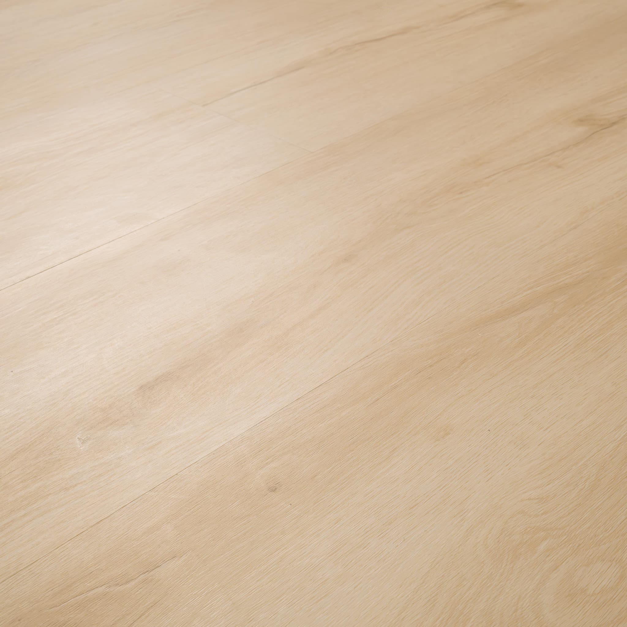 MSI Everlife Fallonton Glue Down Luxury Vinyl Flooring — Nove Plus Collection — detail view 7
