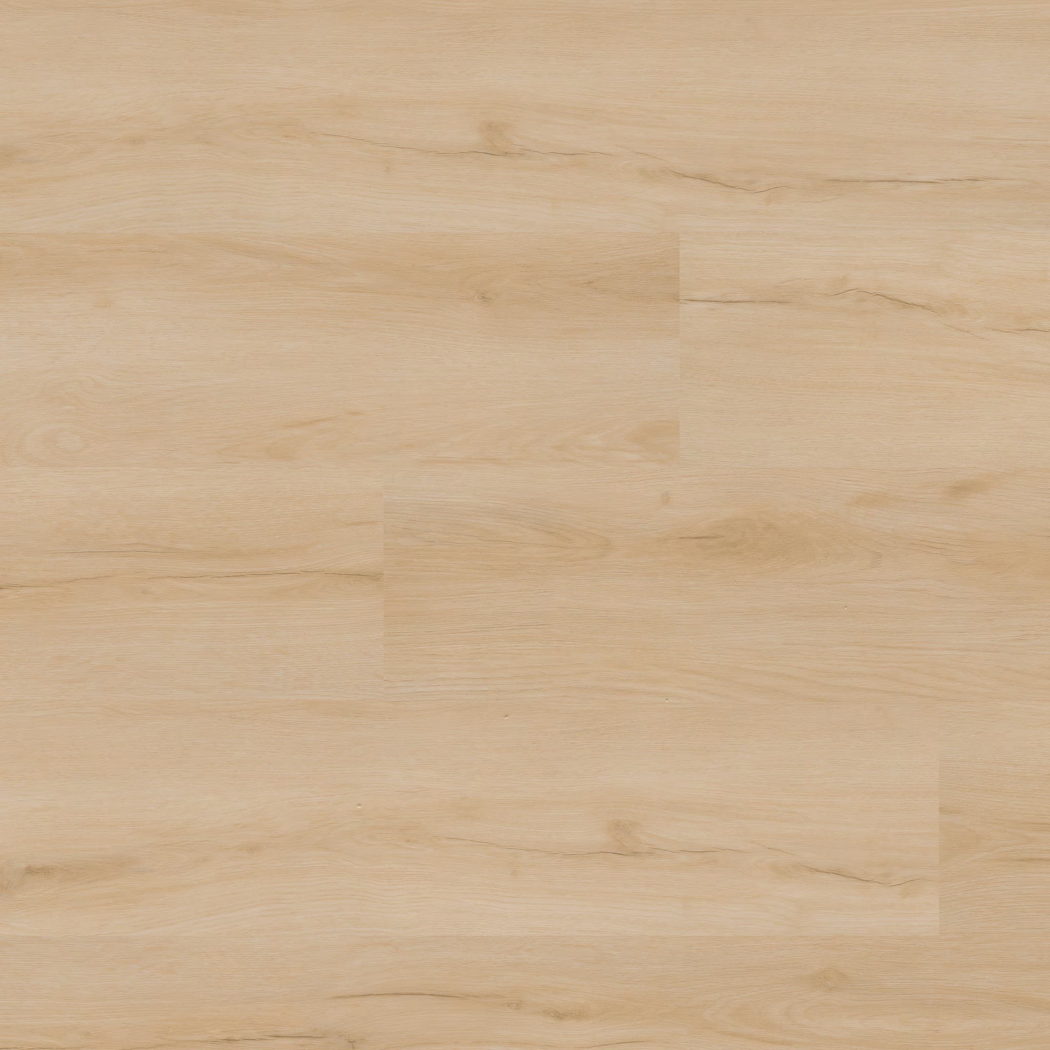 MSI Everlife Fallonton Glue Down Luxury Vinyl Flooring — Nove Plus Collection — detail view 9