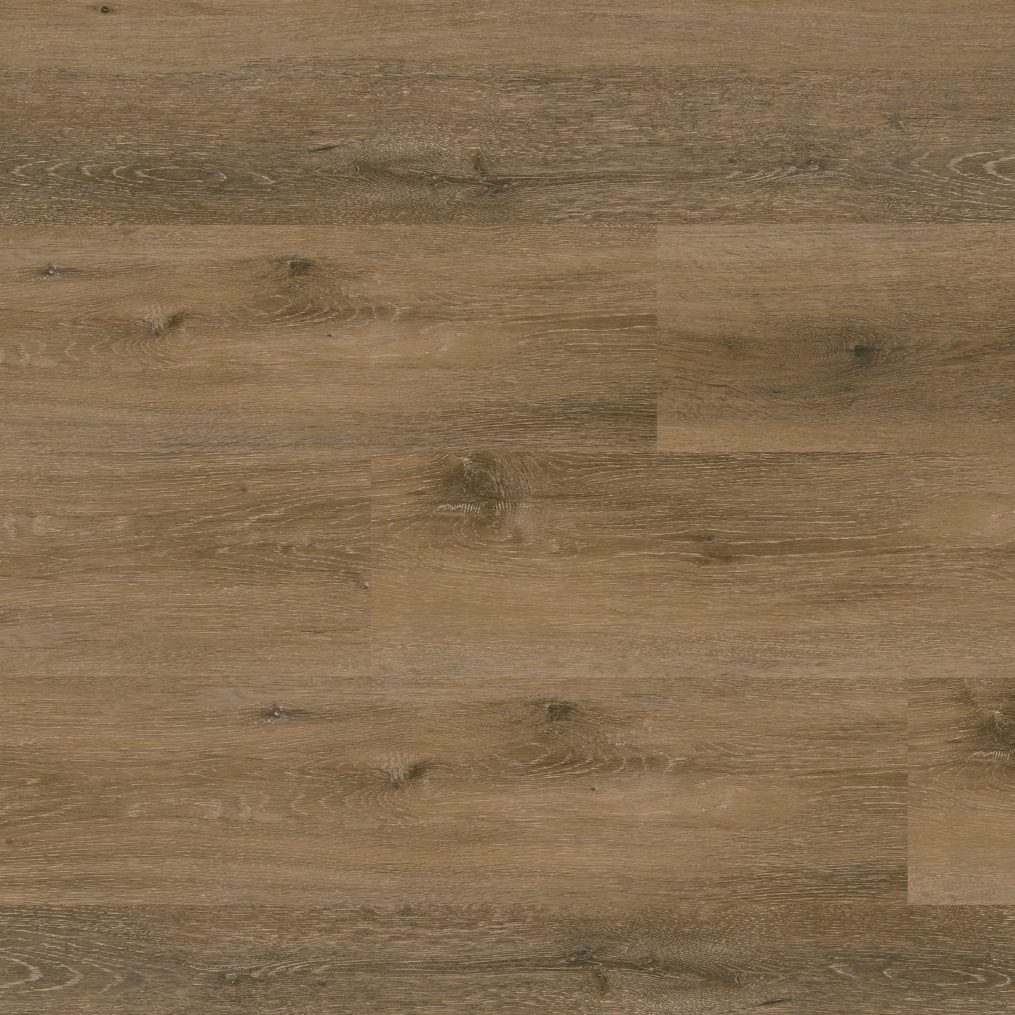 MSI Everlife Hatfield Glue Down Luxury Vinyl Flooring — Nove Plus Collection — plank close-up
