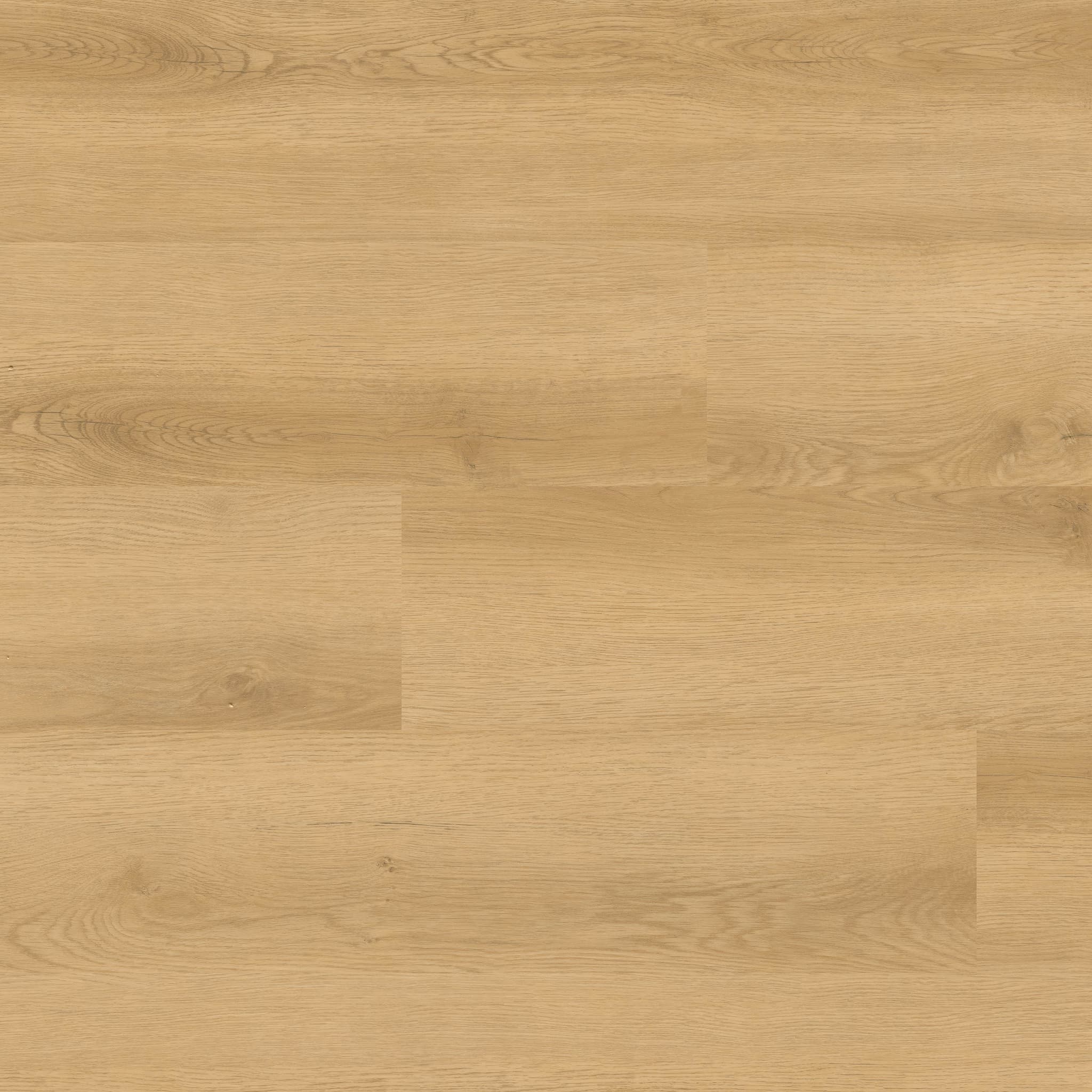 MSI Everlife Hyde Haven Glue Down Luxury Vinyl Flooring — Nove Reserve Collection — plank close-up