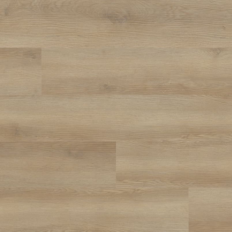 MSI Everlife Hyde Haven Glue Down Luxury Vinyl Flooring — Nove Reserve Collection — detail view 10