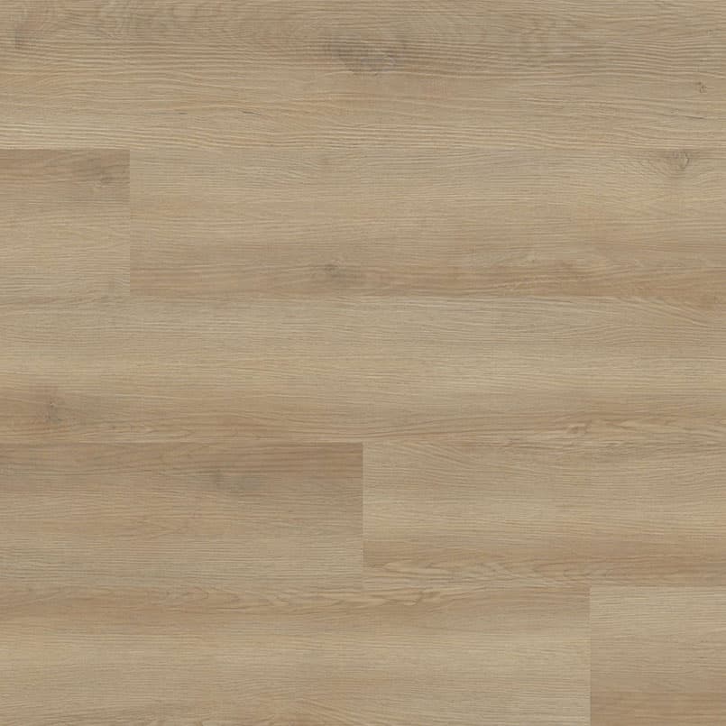 MSI Everlife Hyde Haven Glue Down Luxury Vinyl Flooring — Nove Plus Collection — detail view 11