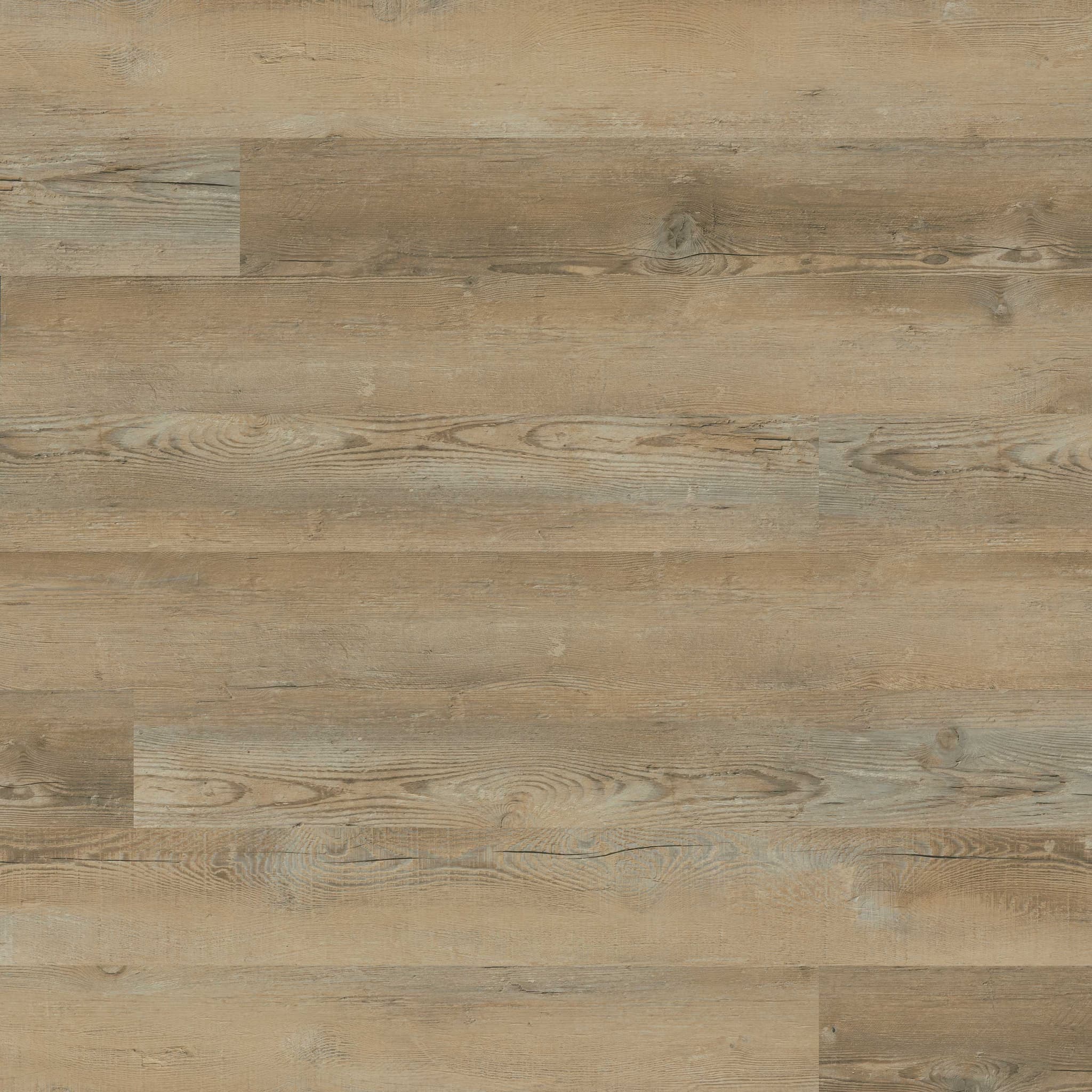 MSI Everlife Lime Washed Oak Glue Down Luxury Vinyl Flooring — Katavia Collection — plank close-up