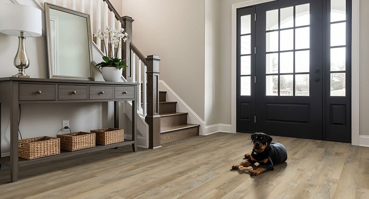 MSI Everlife Lime Washed Oak Glue Down Luxury Vinyl Flooring — Katavia Collection — detail view 3