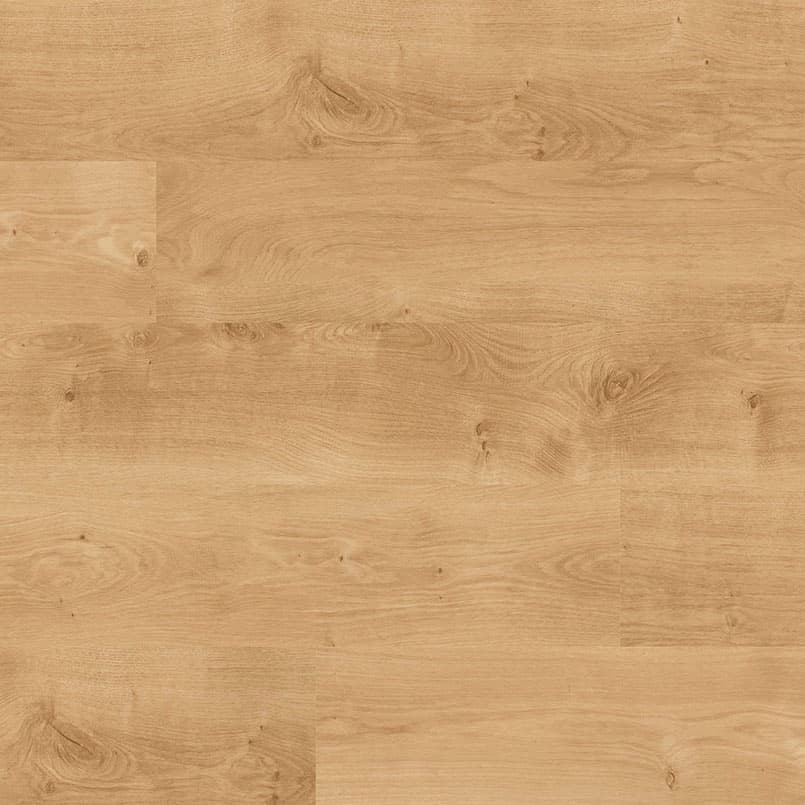 MSI Everlife Mt Sande Glue Down Luxury Vinyl Flooring — Acclima Collection — plank close-up