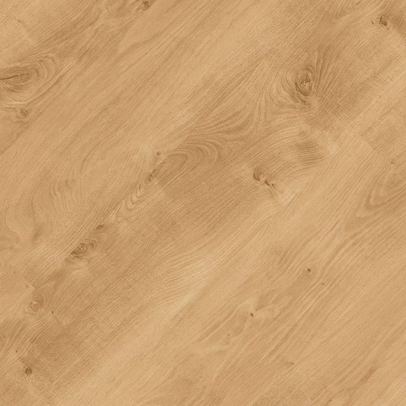 MSI Everlife Mt Sande Glue Down Luxury Vinyl Flooring — Acclima Collection — detail view 8