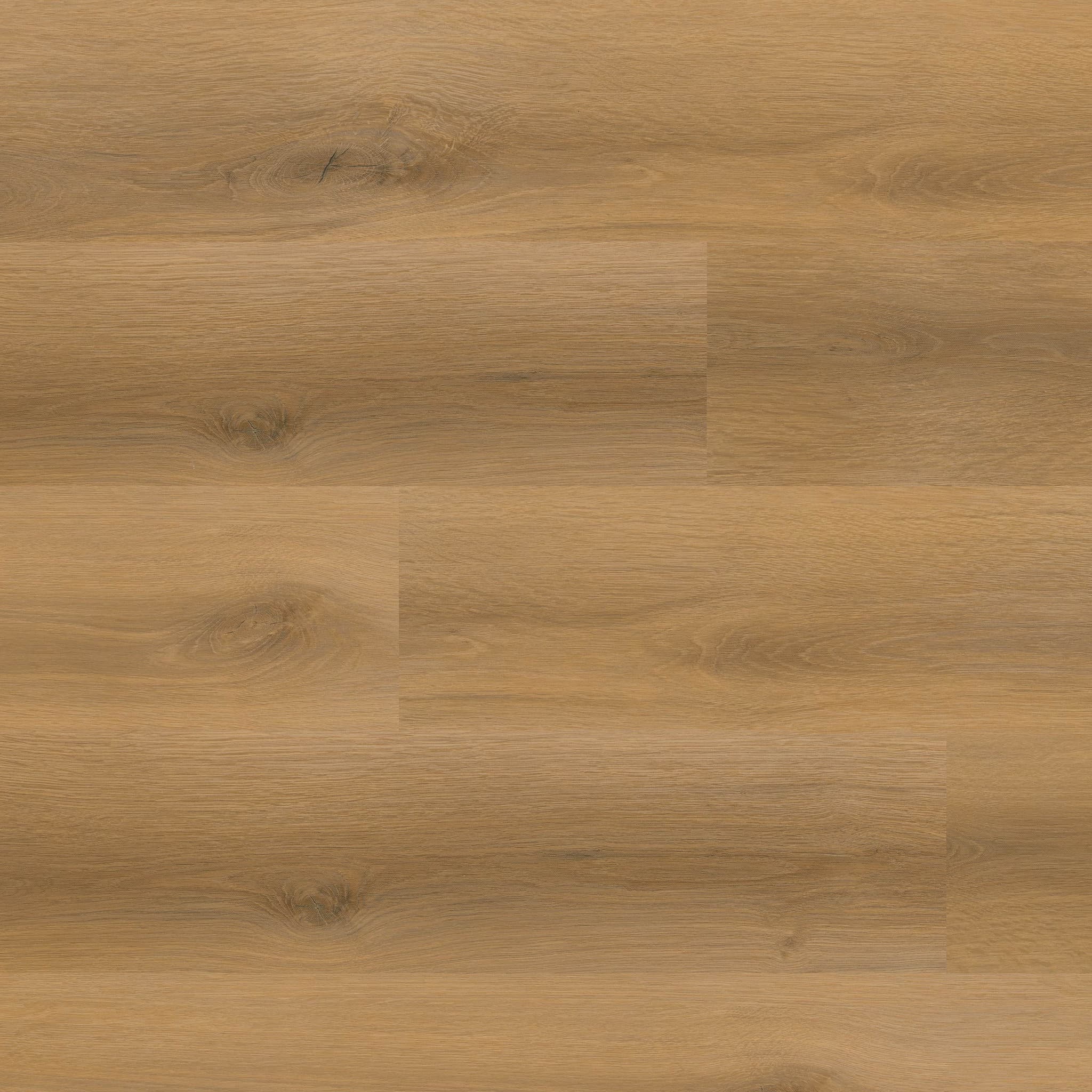 MSI Everlife Scandi Glue Down Luxury Vinyl Flooring — Nove Collection — detail view 10