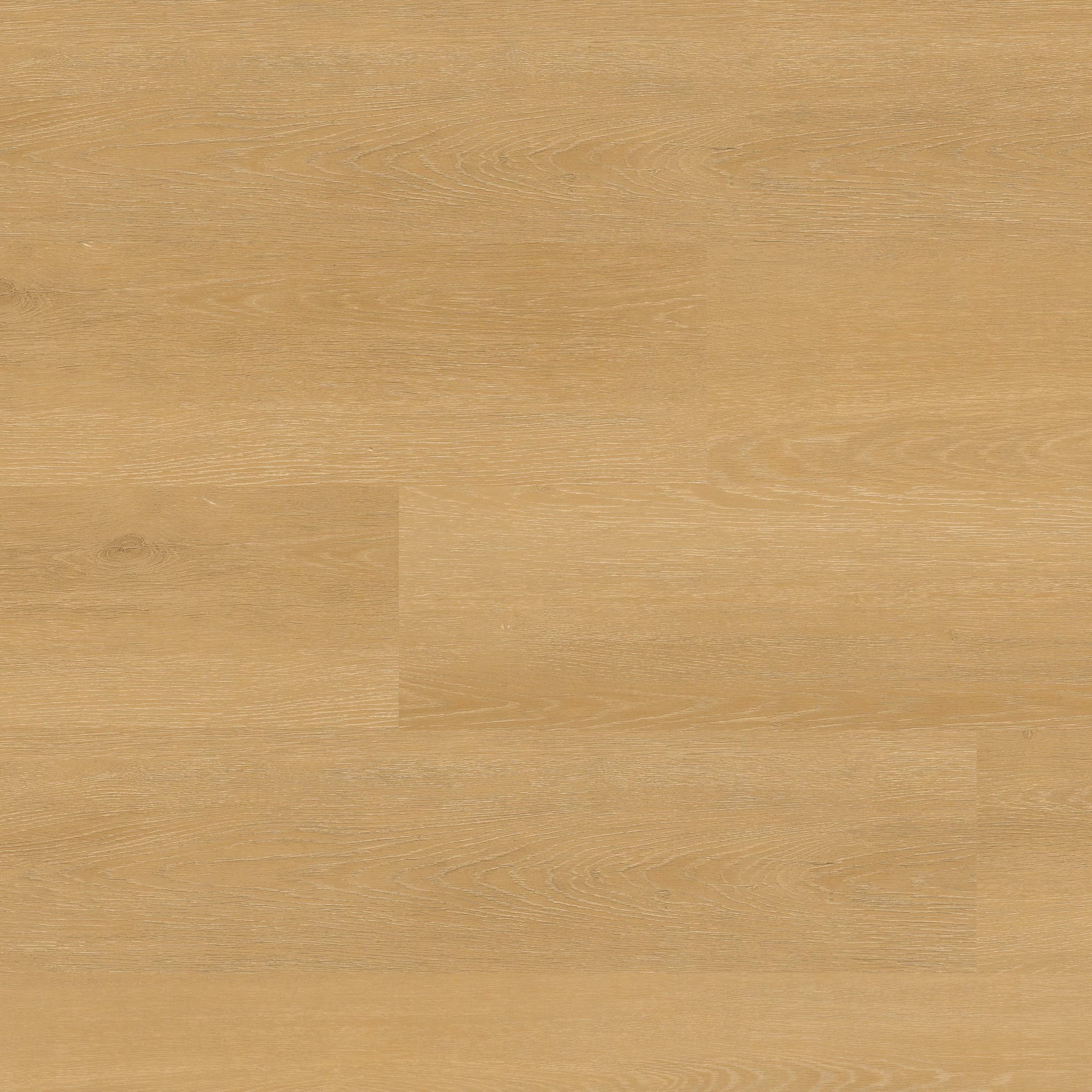 MSI Everlife Selbourne Glue Down Luxury Vinyl Flooring — Nove Plus Collection — detail view 11