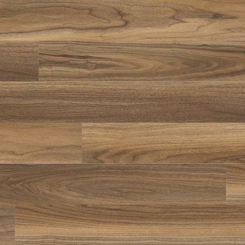 MSI Everlife Tawny Birch Glue Down Luxury Vinyl Flooring — Glenridge Collection